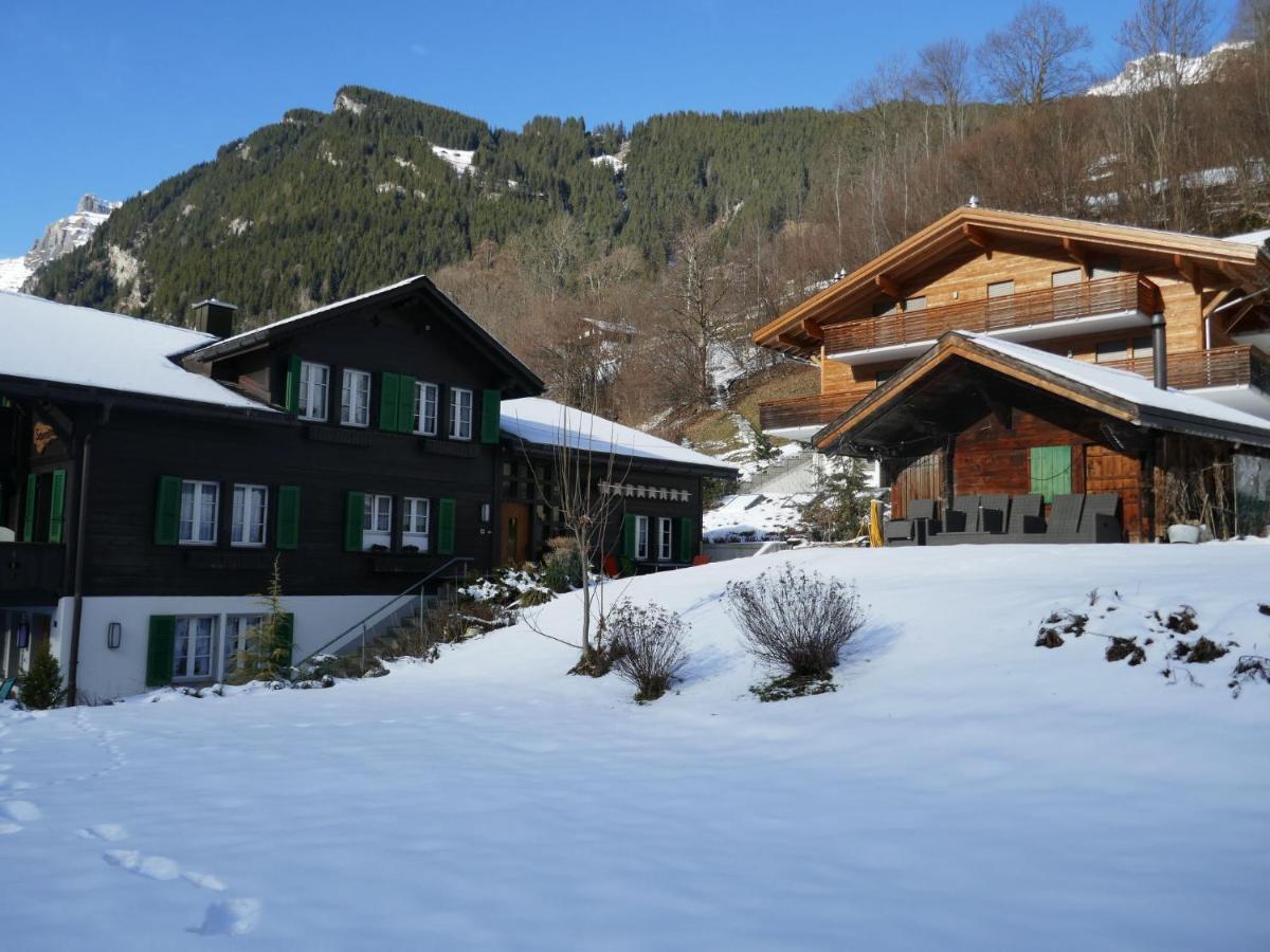 Apartment Chalet Schwendihus-6 By Interhome Гринделвалд Екстериор снимка
